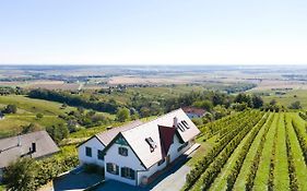 Kellerstöckl Weinblick