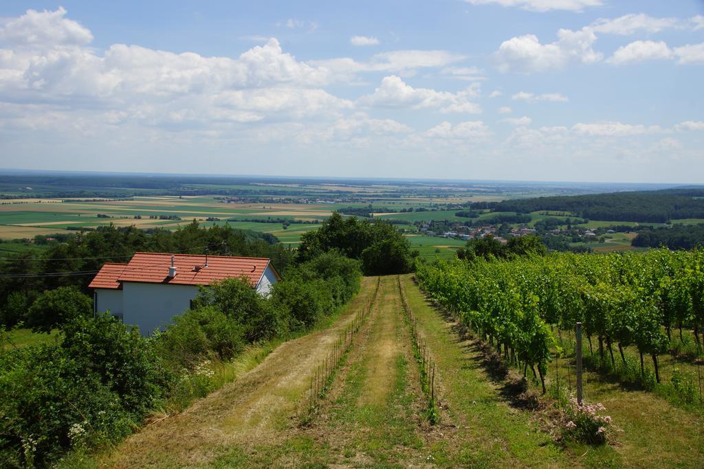 Villa Kellerstöckl Weinblick Eisenberg an der Pinka Exterior foto